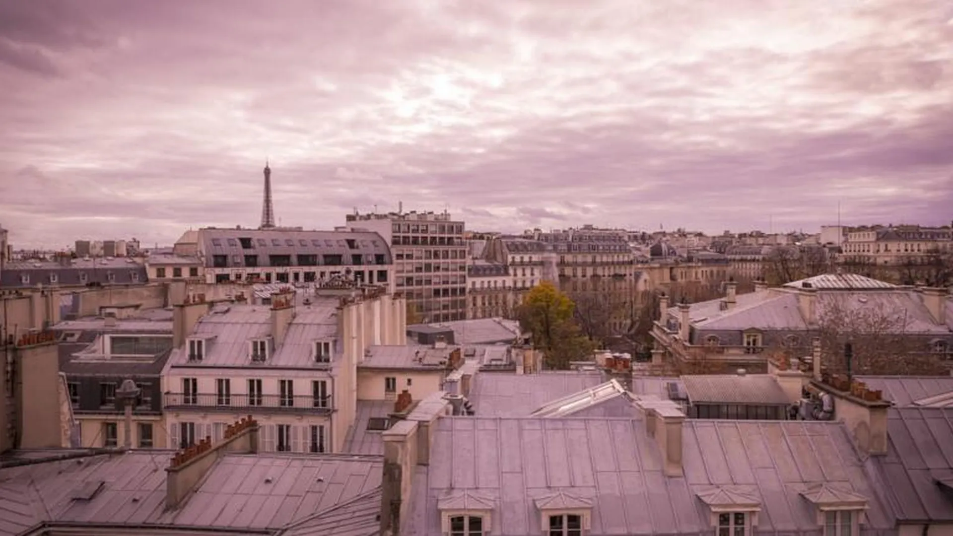 Pley Hotel Paris